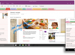 OneNote  Windows 10      Office