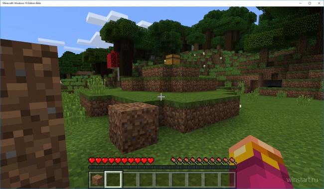 Minecraft: Windows 10 Edition Beta     