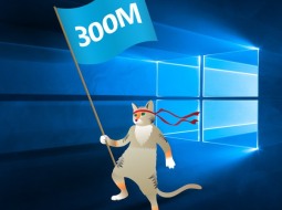   Windows 10  300   