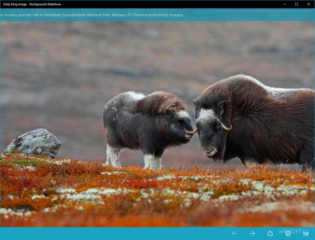 Background slideshow        