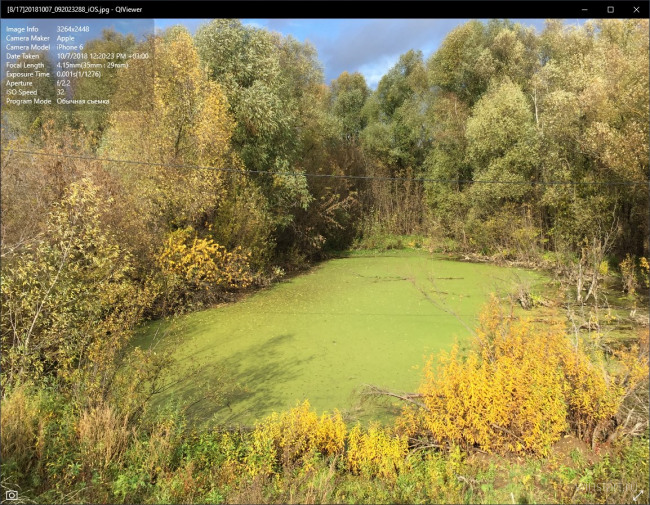 QIViewer     